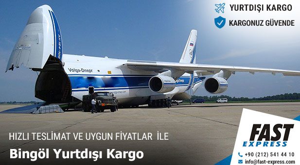 yurtdisikargo bingol2